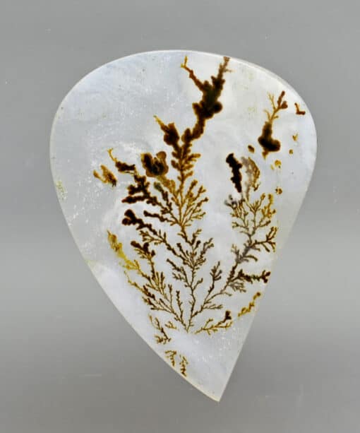 Dendritic Agate 9.13