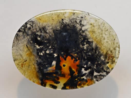 A black and yellow agate on a white background.