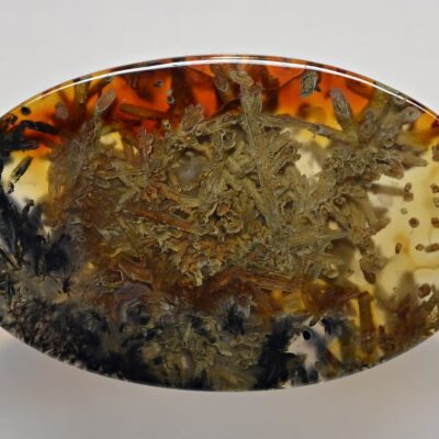 An oval shaped piece of amber with a pattern on it.
