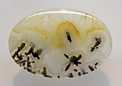 A white and yellow agate with black spots on it.