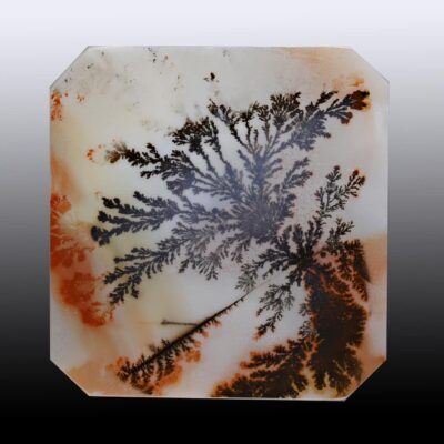 A square piece of agate with a tree on it.