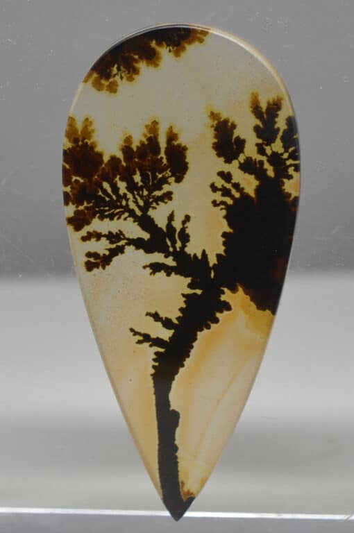 Dendritic Agate 9.88