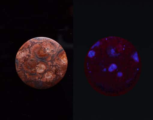 A blue and purple stone on a dark background.