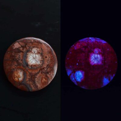 A blue and red glow in the dark button.