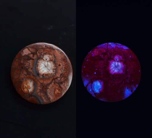 A blue and red glow in the dark button.