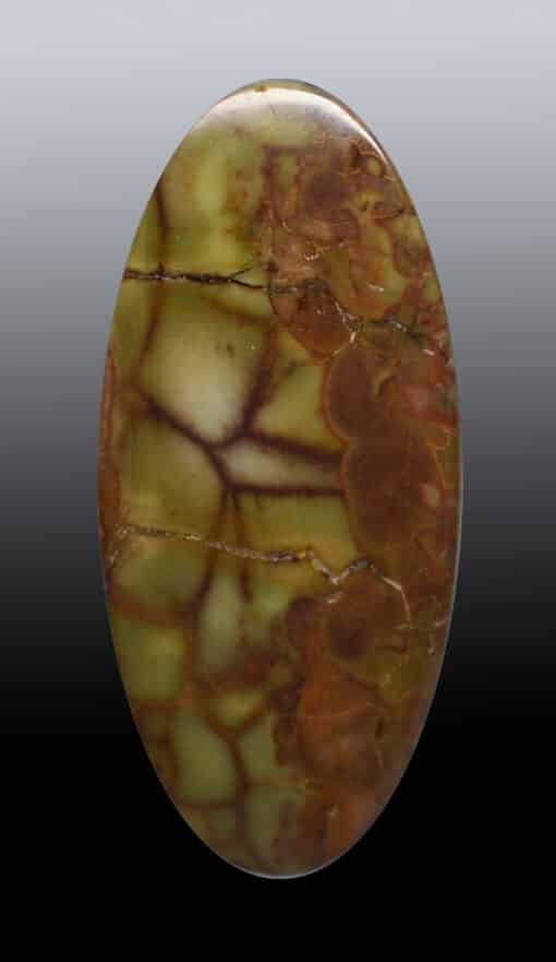 Spiderweb-jasper  22.45 ct Oval Cabochon 35.20 x 16.50 x 5.00 mm y92716