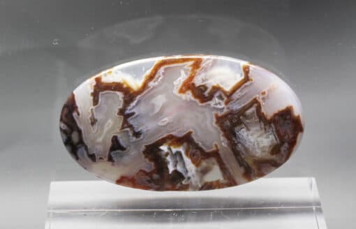 A brown and white agate pendant on a clear stand.