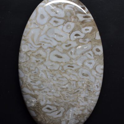 A white and brown oval shaped stone on a black surface.