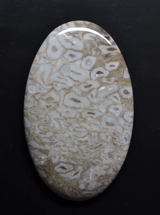 A white and brown oval shaped stone on a black surface.