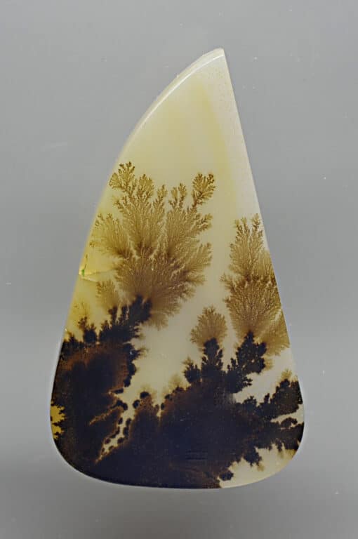 A triangular piece of agate with a tree on it.