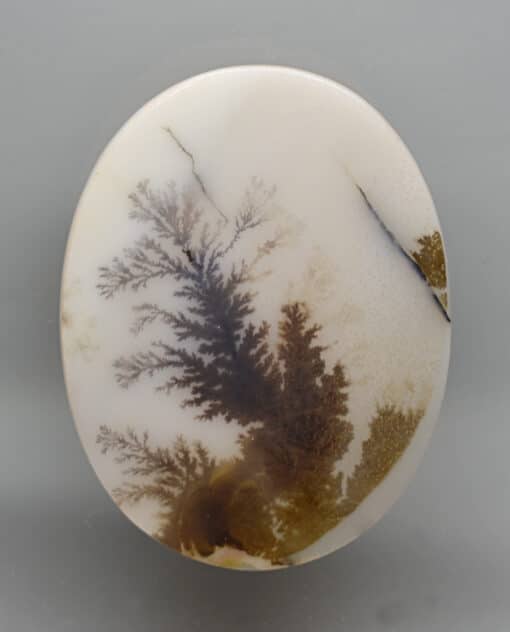 A white oval object with a brown and black design.