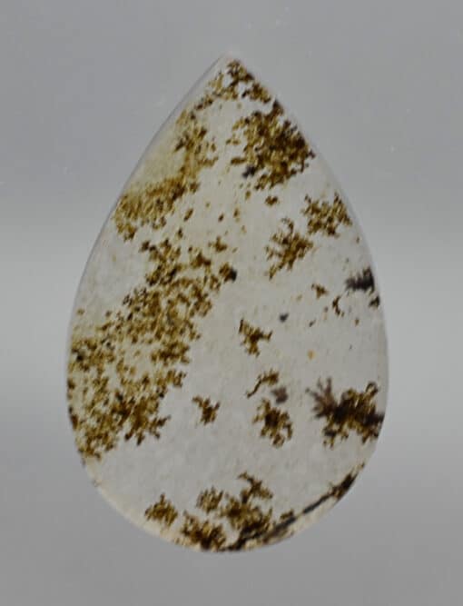 Dendritic Agate 6.27