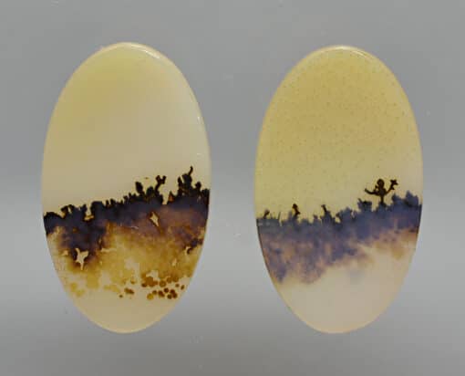 Two oval shaped pieces of agate.