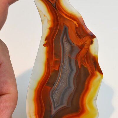 A person holding a piece of agate.