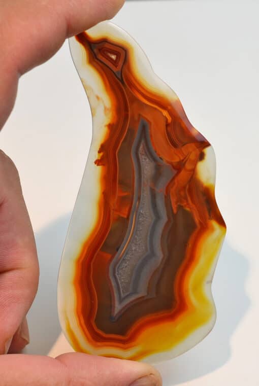 A person holding a piece of agate.