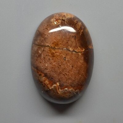 A brown oval shaped stone on a white surface.