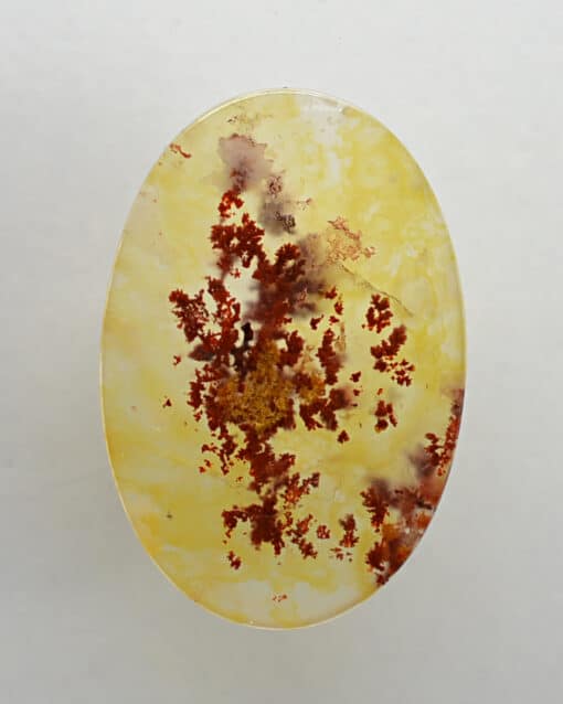 Carey Plume agate 16.39