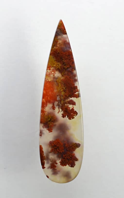 Carey Plume Agate 19.04