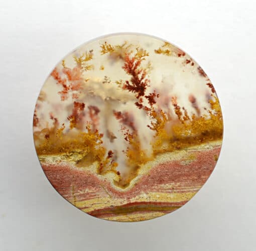 Carey Plume Agate 21.22