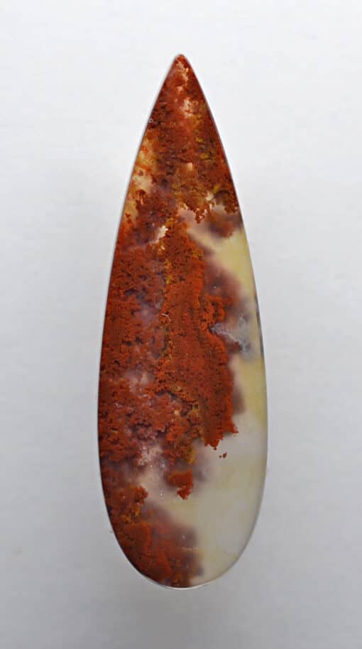 Carey Plume Agate 24.19