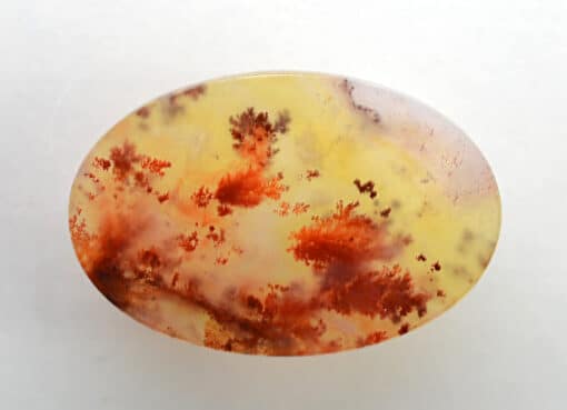 Carey Plume Agate 25.89