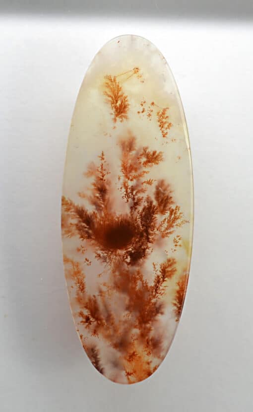 Carey Plume Agate 48.03