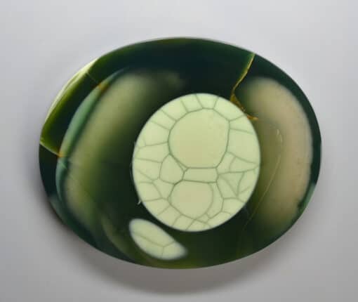 A plate with a green and white pattern on it.