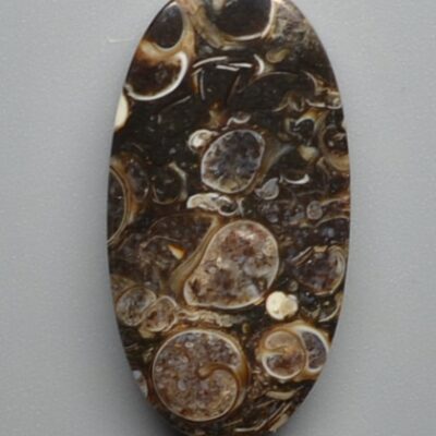 A piece of agate with a black and brown pattern.