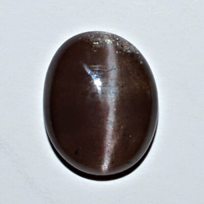 A brown oval shaped stone on a white surface.