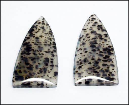 A pair of black and white spotted cabochons.