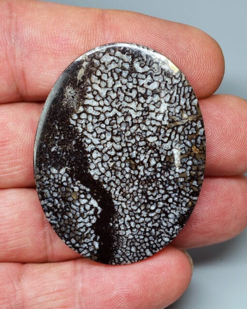 A person holding a black and white stone in their hand.