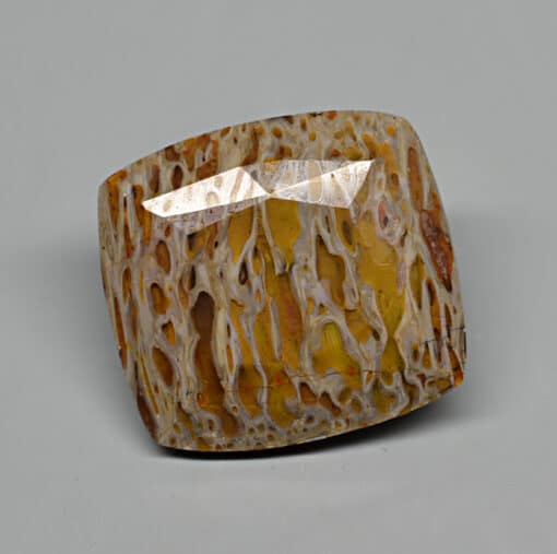 A piece of agate with a brown and yellow pattern.