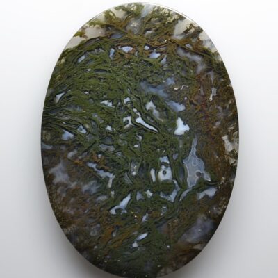 A round piece of stone with green algae on it.