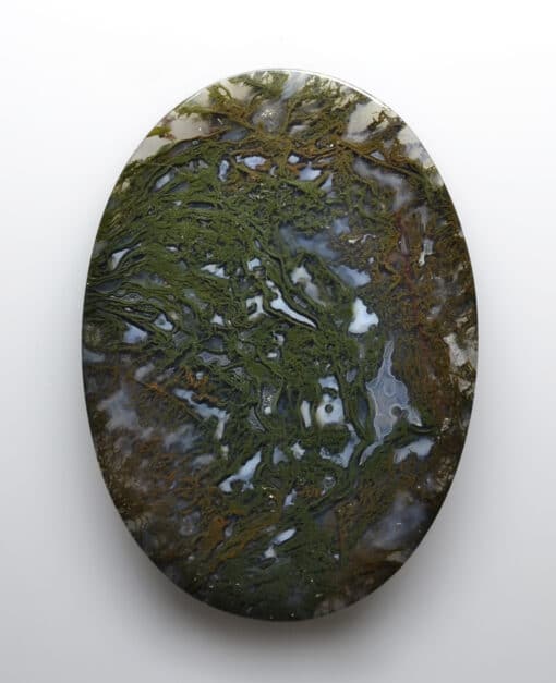 A round piece of stone with green algae on it.