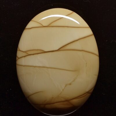 A beige stone with a swirl pattern on it.