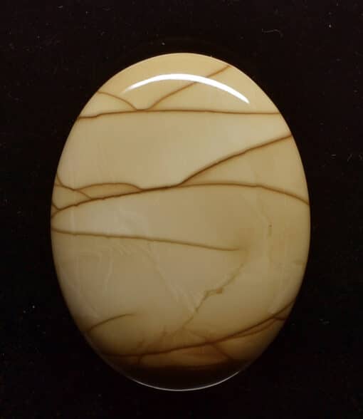A beige stone with a swirl pattern on it.