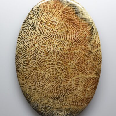 A oval object with a pattern on it.