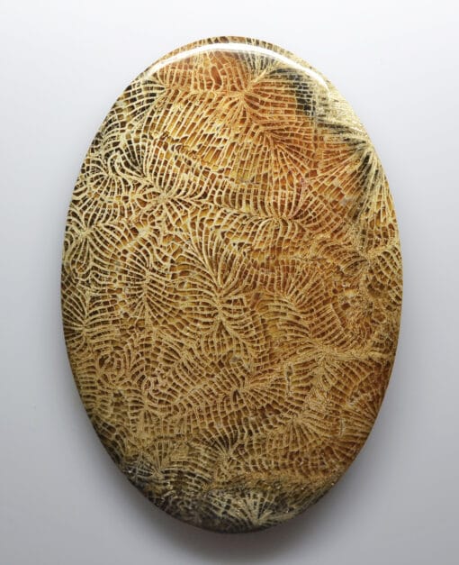A oval object with a pattern on it.