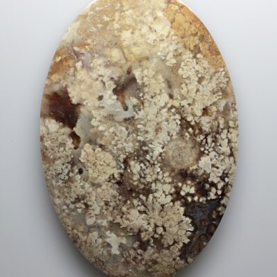 A round piece of agate with brown and white specks on it.