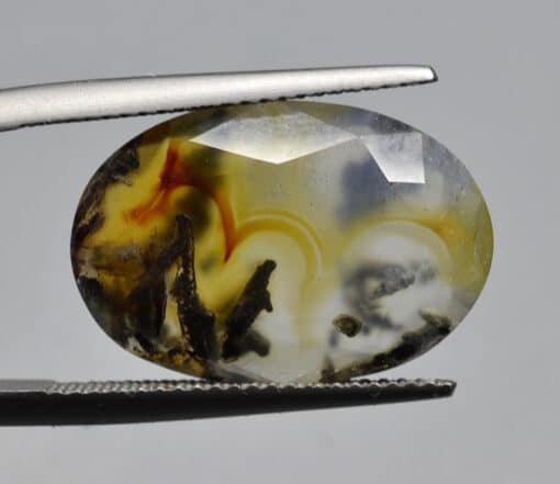 An oval agate stone being held by a pair of pliers.