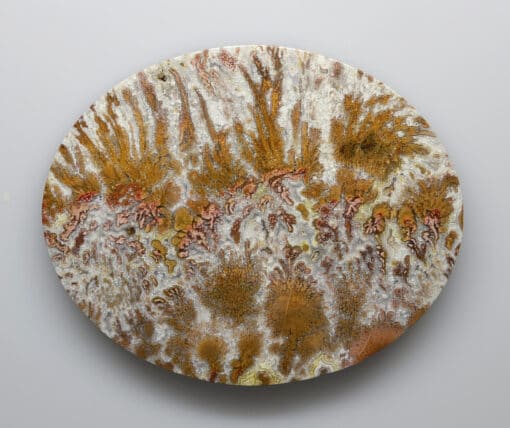 A plate with a brown and white pattern on it.