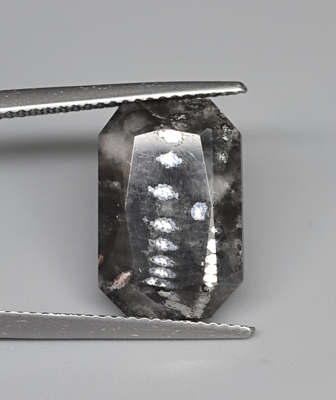 Native silver 10.65 ct Octagon Cut 15.10 x 10.10 x 7.19 mm max815