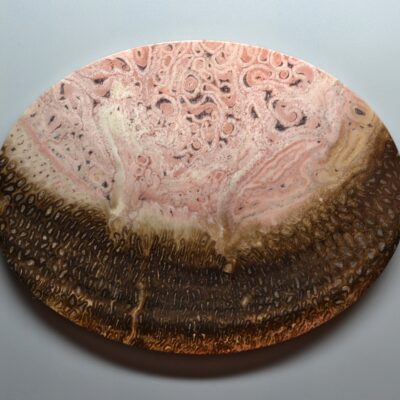 A pink and brown oval object.