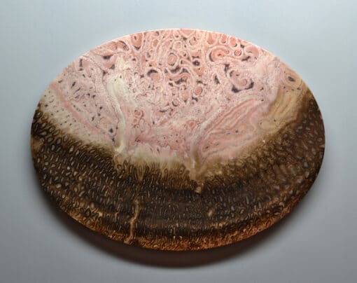 A pink and brown oval object.