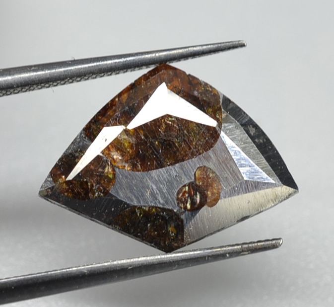 Pallasite-Meterite 4.39 ct Fancy Cut 15.50 x 11.30 x 2.20 mm Kenya max3040b