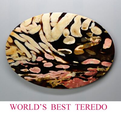 World's best teedo.