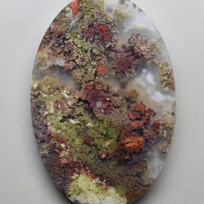 A piece of mossy rock on a white surface.
