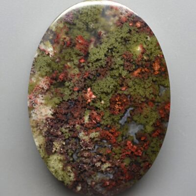 A green and red mossy stone on a white surface.