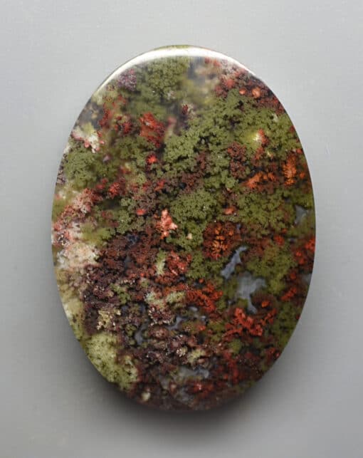 A green and red mossy stone on a white surface.