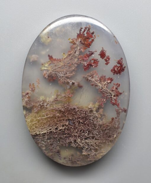 A round piece of agate with lichens on it.